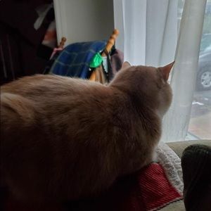 Meet your Posher, Carly